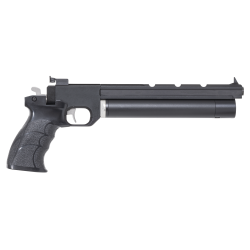 pistolet pp700s-a pcp c55